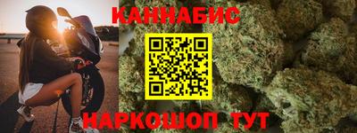 шишки Кингисепп