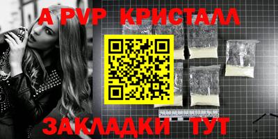 шишки Кингисепп