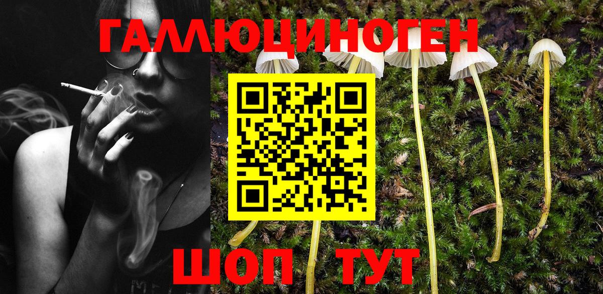 Псилоцибиновые грибы MAGIC MUSHROOMS  Вход с VPN  Псилоцибиновые грибы Psilocybe  Красный Сулин 